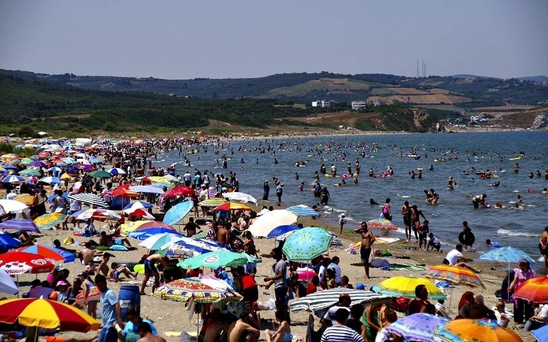 Bursa sahillerinden sevindiren haber