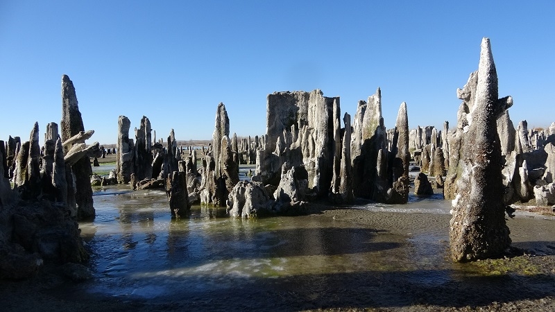 Van Gölü kıyısında en büyük mikrobiyalit oluşumuna rastlandı