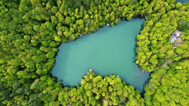 Bolu 1 milyon 22 bin 693 turisti ağırladı