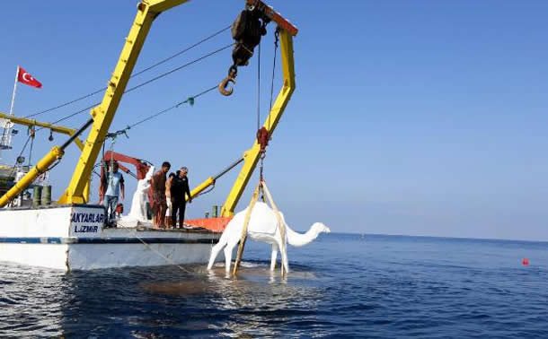Sualtı Müzesi İzmir`e İlham Verdi