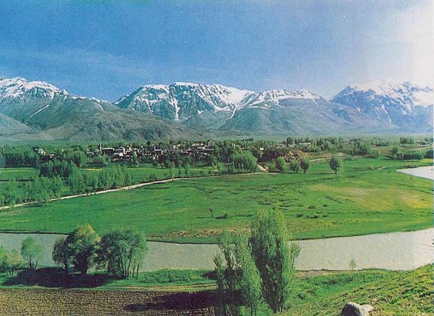 Ovacık Belediyesi işbirliğiyle ?Komünist Bal? satışı