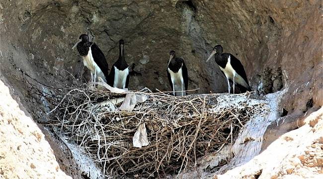 Karaleylek Kanyonu, turizme kazandırılacak